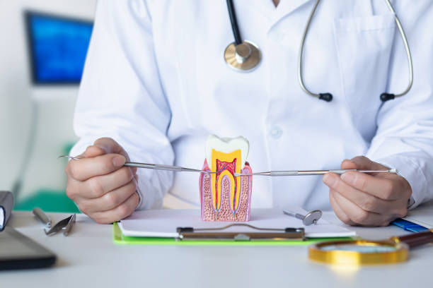Best Urgent Care for Lost Fillings or Crowns in Voorheesville, NY